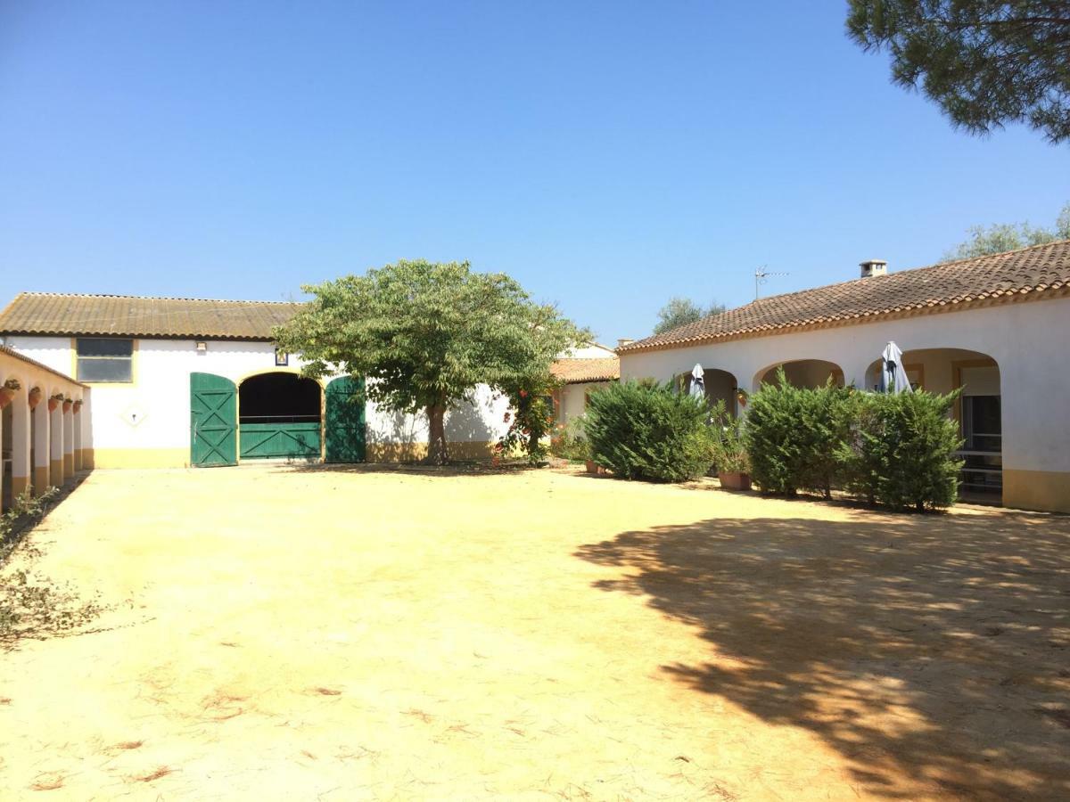 El Rocio 1 Gites Equestre Saintes-Maries-de-la-Mer Buitenkant foto