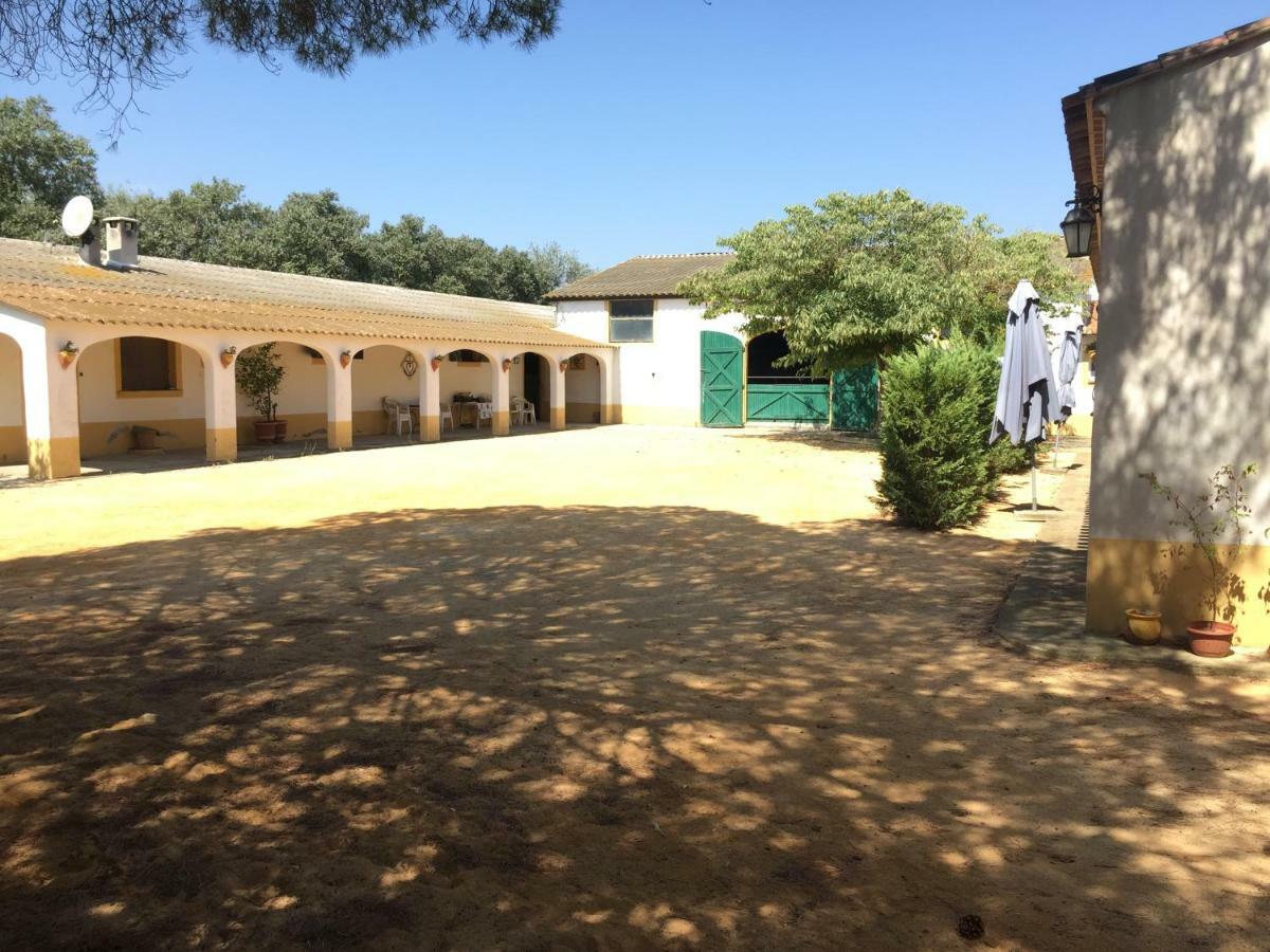 El Rocio 1 Gites Equestre Saintes-Maries-de-la-Mer Buitenkant foto