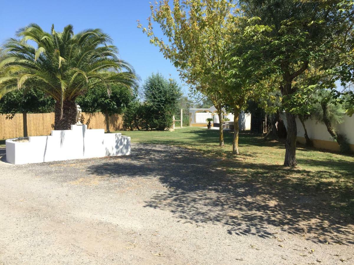 El Rocio 1 Gites Equestre Saintes-Maries-de-la-Mer Buitenkant foto